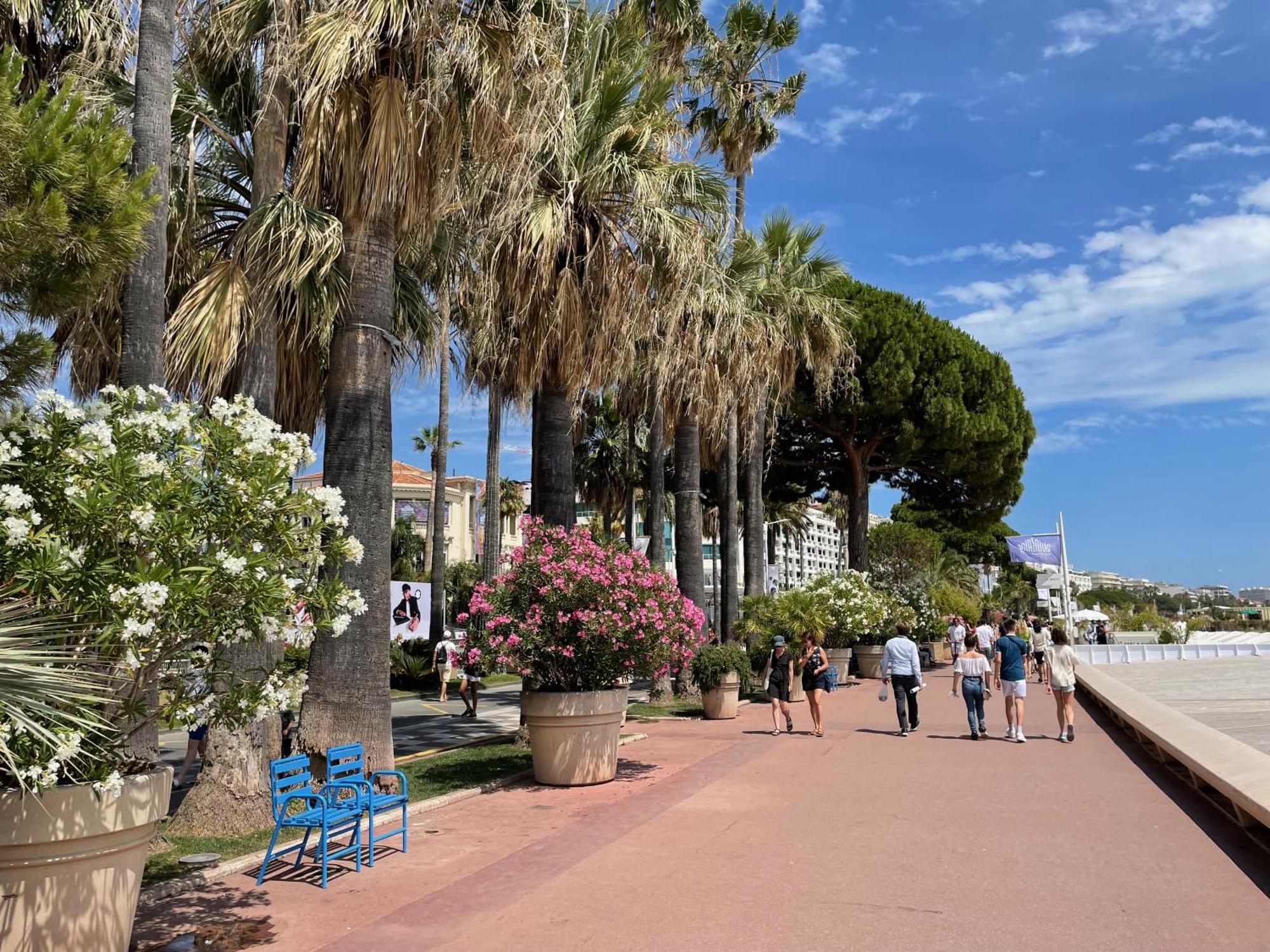 Beautiful Apartment Cannes Center Terrace Parking Экстерьер фото